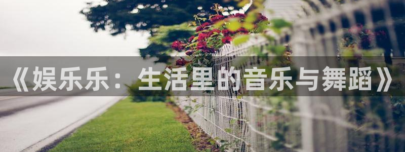 开丰娱乐
