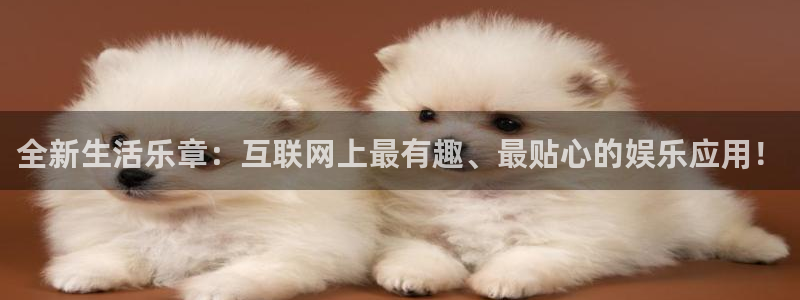 开丰娱乐地址