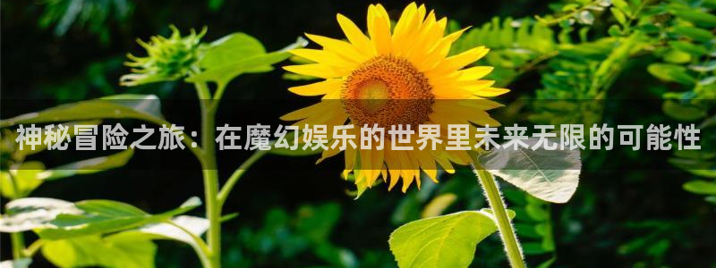 开丰娱乐168