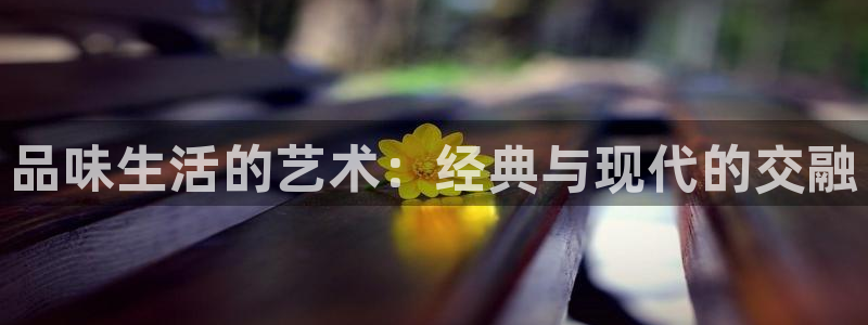 开丰娱乐168