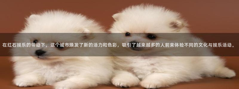 开丰娱乐地址
