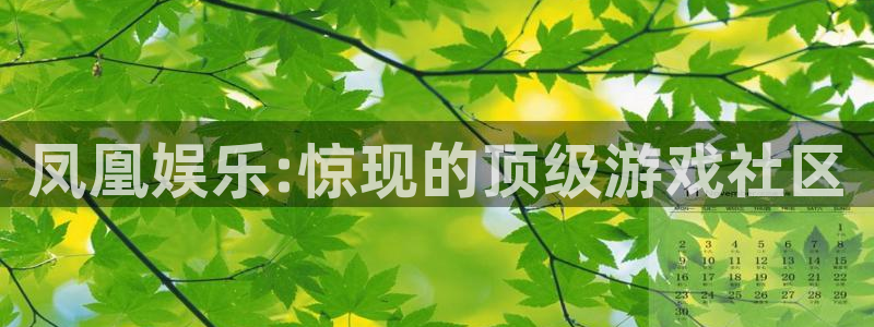 开丰娱乐地址